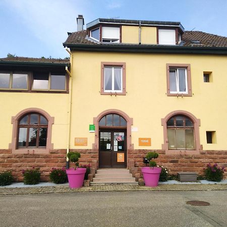Camping Les Lupins Seppois-le-Bas Bagian luar foto