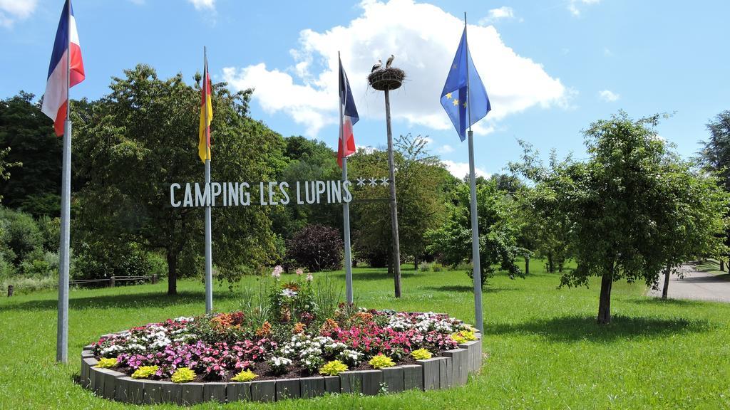 Camping Les Lupins Seppois-le-Bas Bagian luar foto